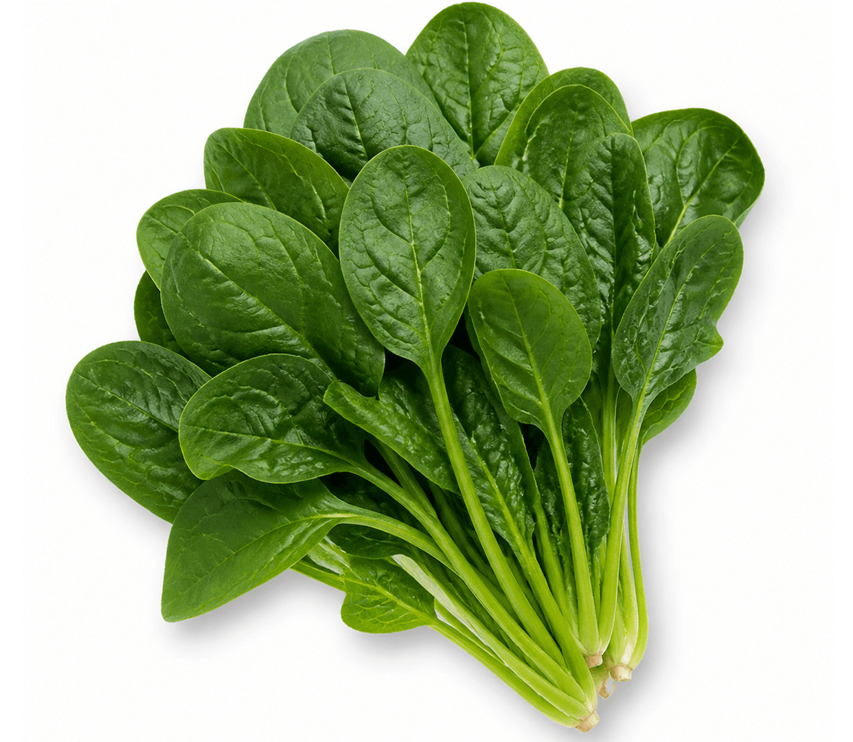 Baby Spinach