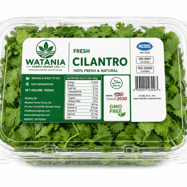 Cilantro – Clamshell