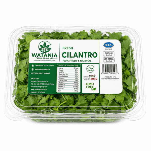 Cilantro - Clamshell