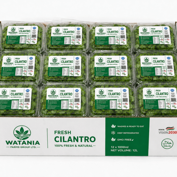 Cilantro – Box