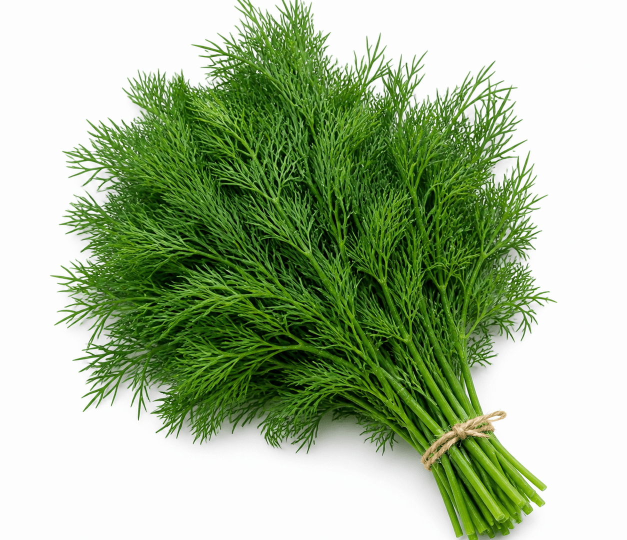 Dill