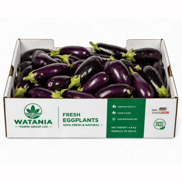 Eggplant - Box