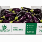 Eggplant - Box