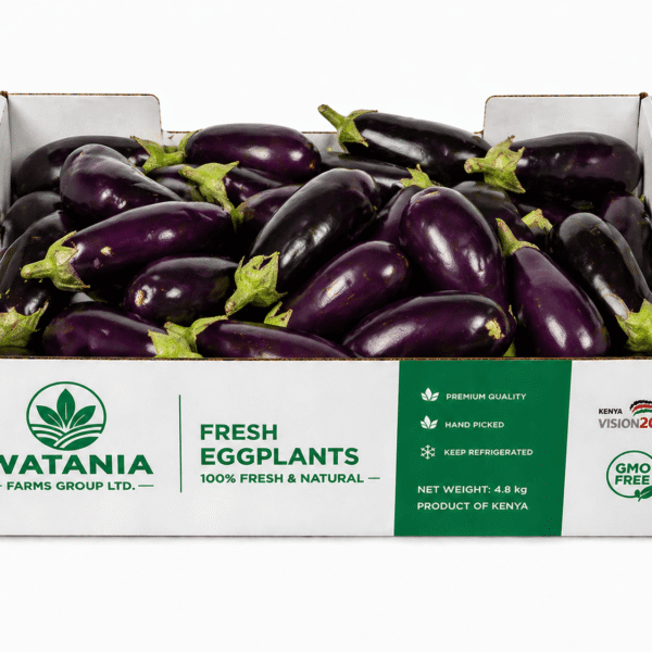 Eggplant – Box