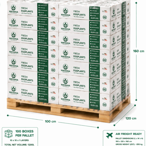 Eggplant – Pallet
