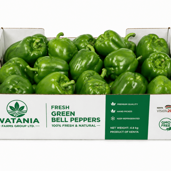 Bell Pepper (Green) – Box
