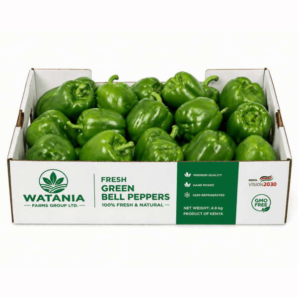 Bell Pepper (Green) - Box