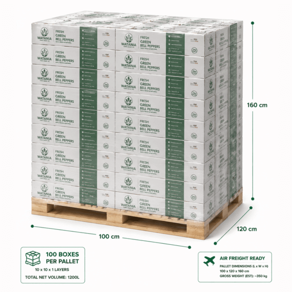 Bell Pepper (Green) - Pallet