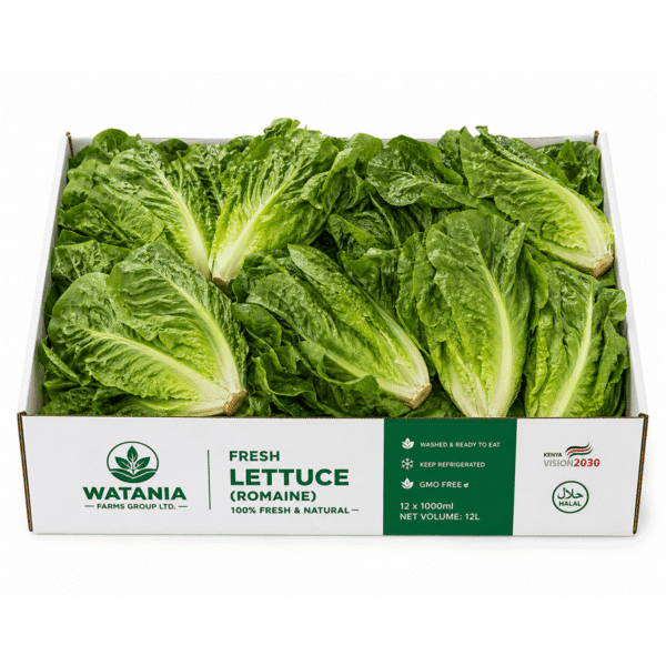 Lettuce (Romaine) - Box