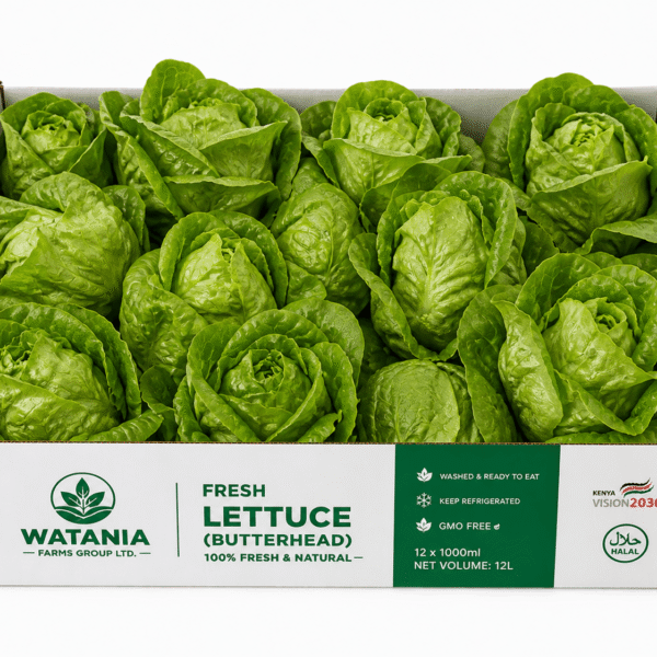 Lettuce Butterhead Box