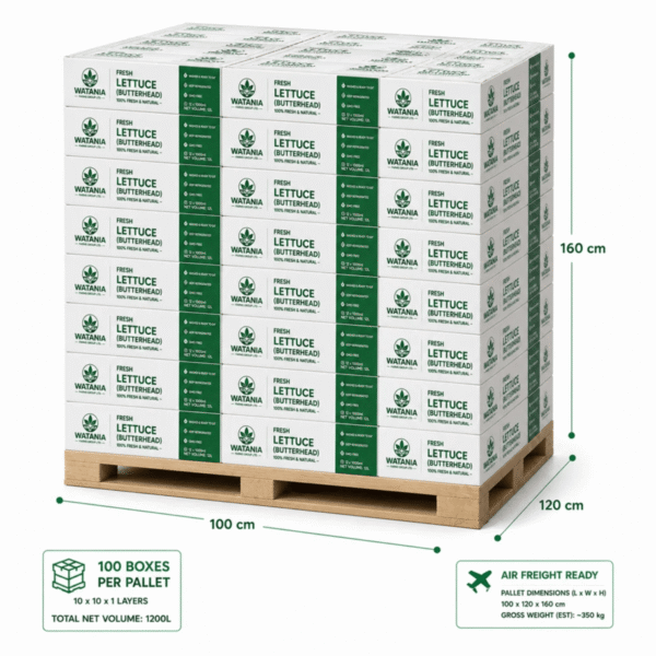 Lettuce (Butterhead) - Pallet