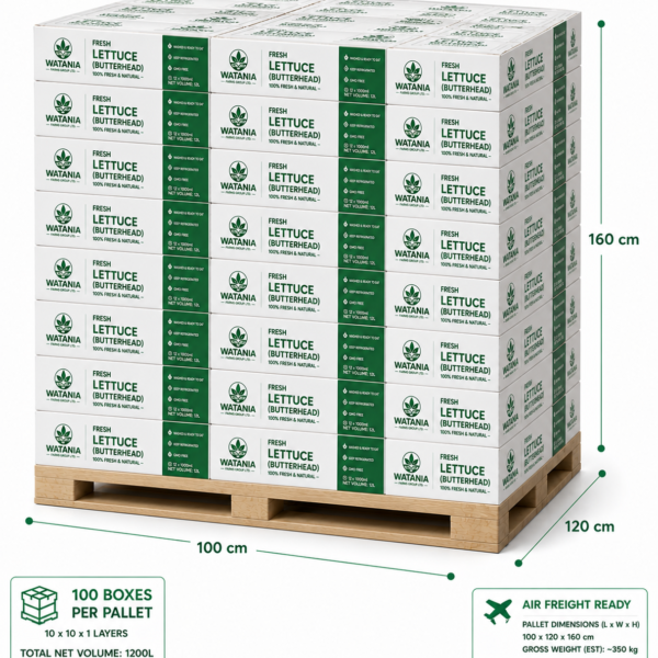 Lettuce Butterhead Pallet