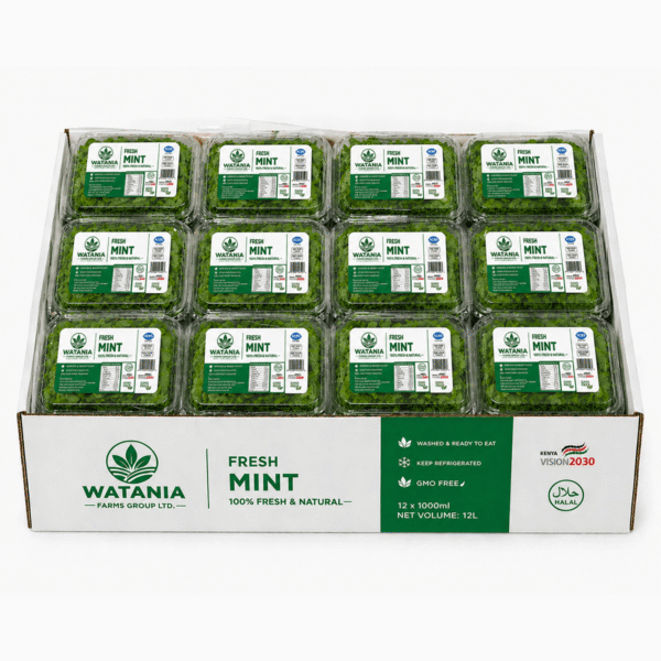 Mint - Box