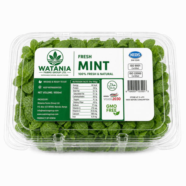 Mint - Clamshell