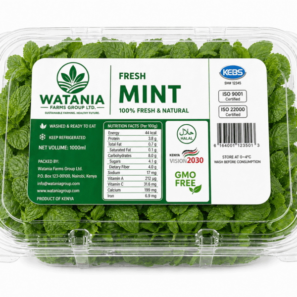 Mint – Clamshell