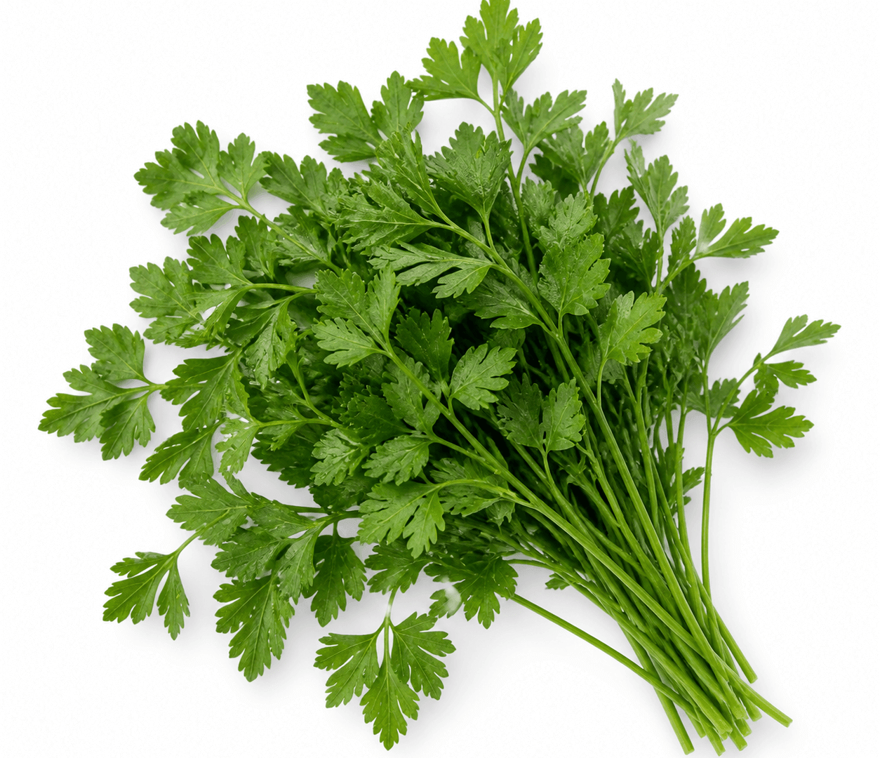Parsley