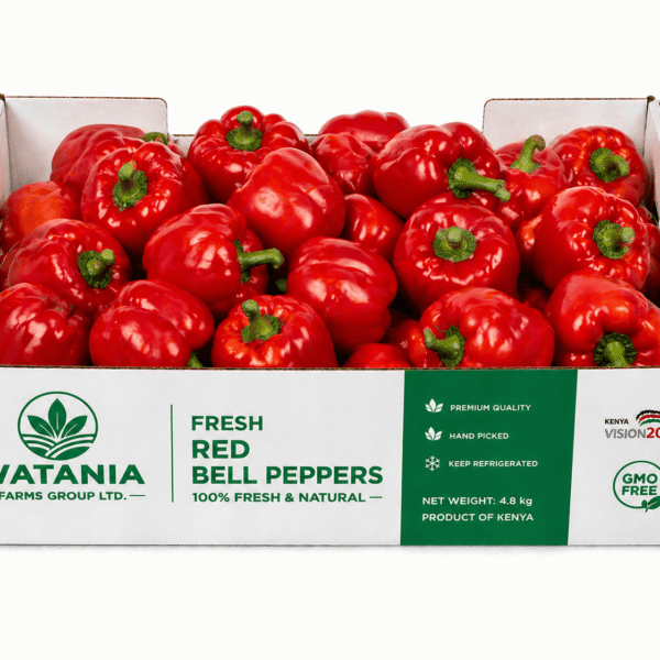 Bell Pepper (Red) – Box
