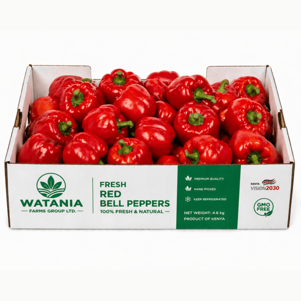 Bell Pepper (Red) - Box