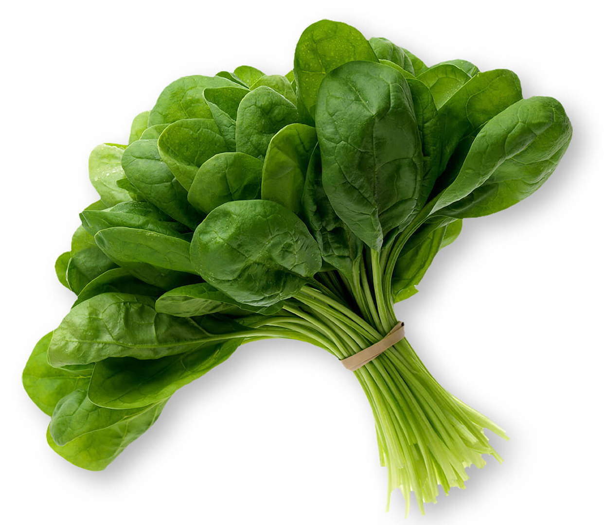 Spinach