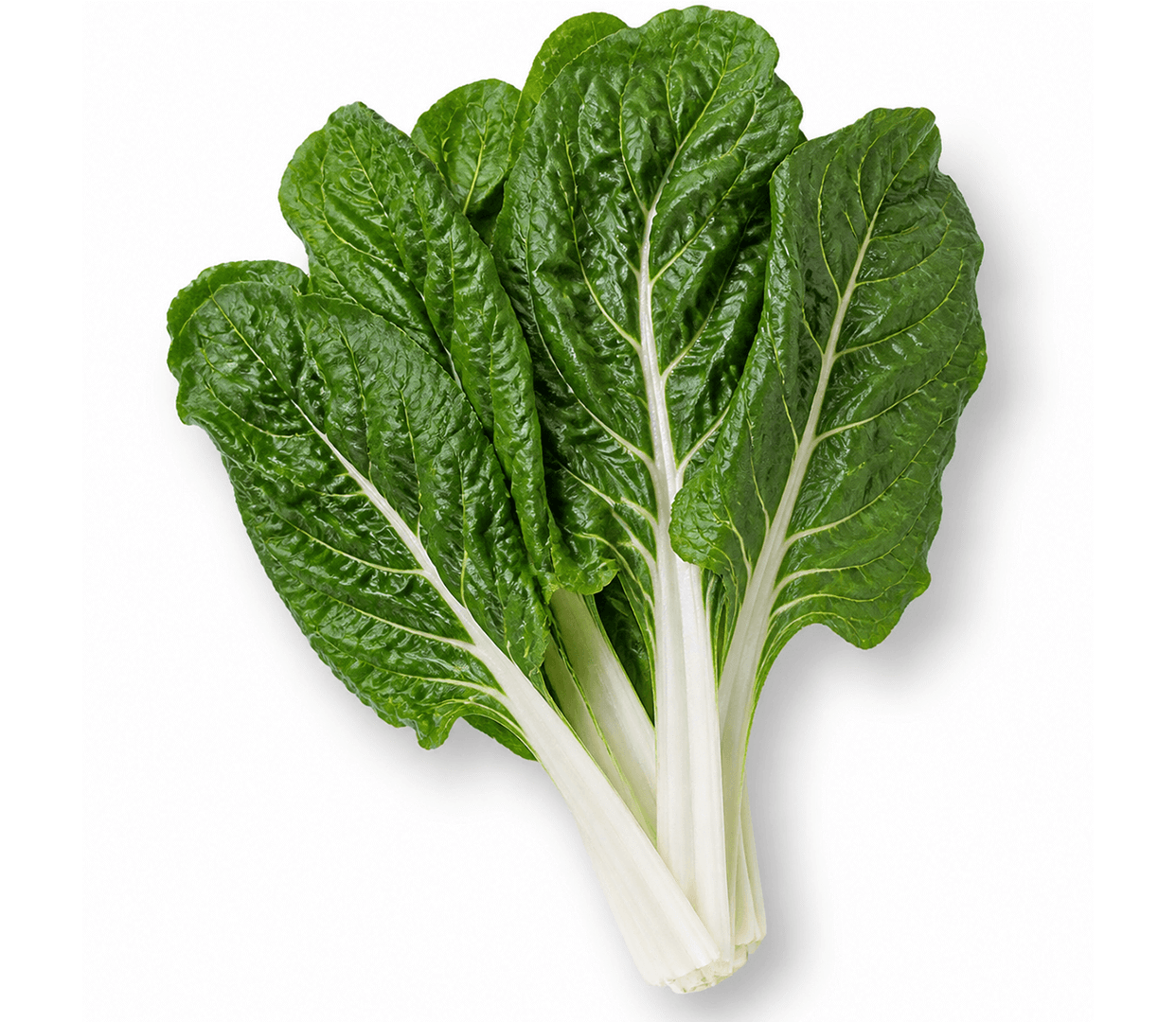 Swiss Chard (Fordhook)