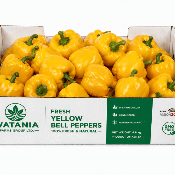 Bell Pepper (Yellow) – Box