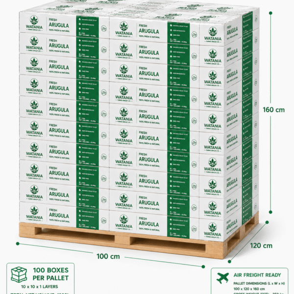 Arugula (Rocket) – Pallet