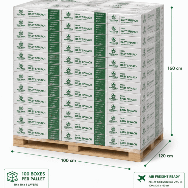 Baby Spinach – Pallet