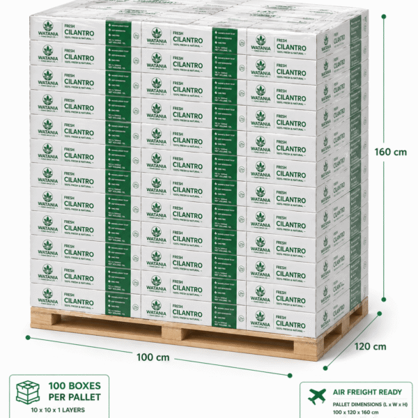 Cilantro – Pallet