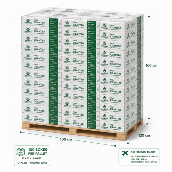 Cilantro - Pallet