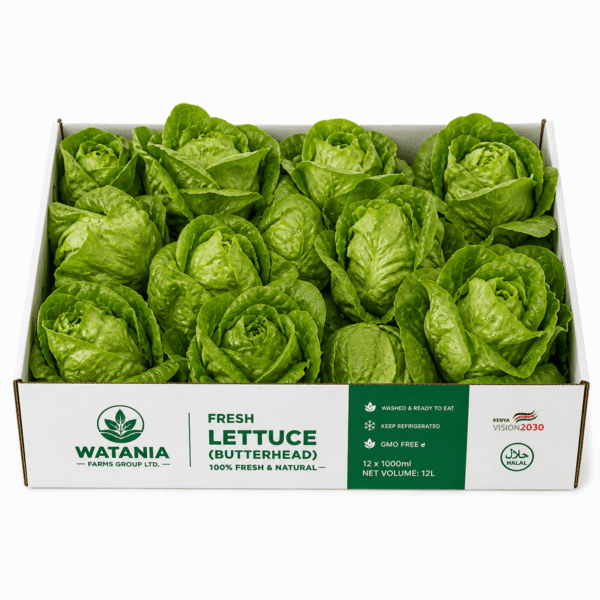 Lettuce (Butterhead) - Box