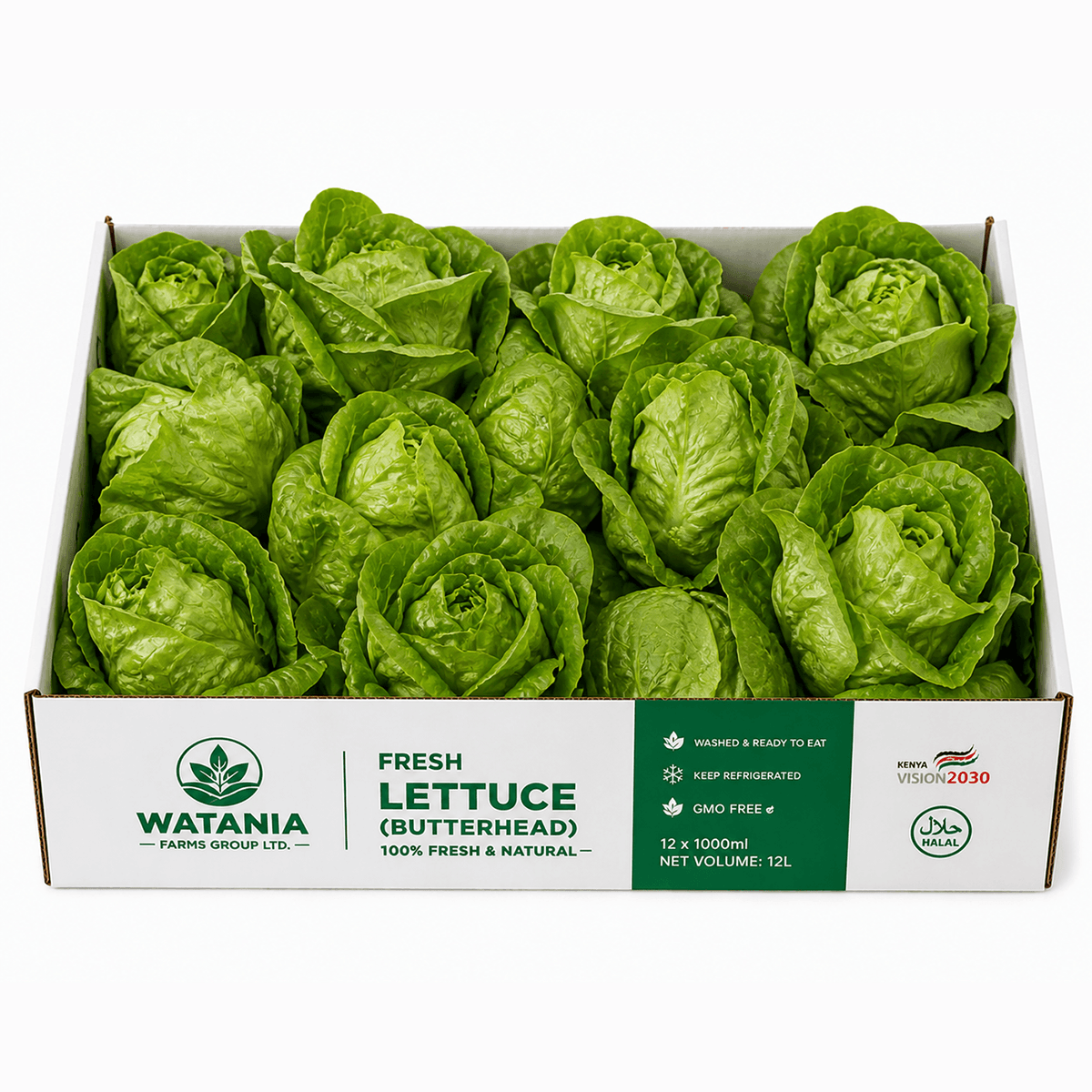 Lettuce (Butterhead) - Box - WATANIA FARMS GROUP LTD