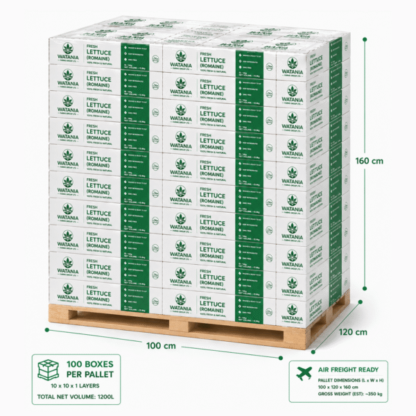 Lettuce (Romaine) - Pallet