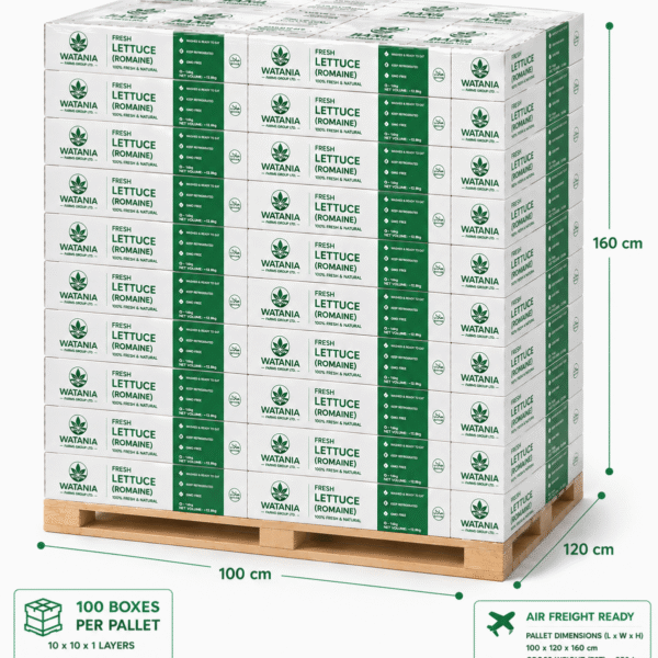 Lettuce (Romaine) – Pallet