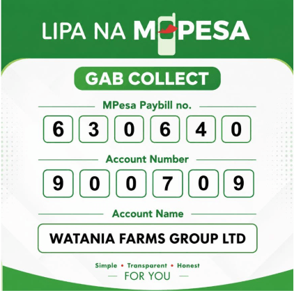 Lipa na M-PESA — GAB Collect Paybill Details