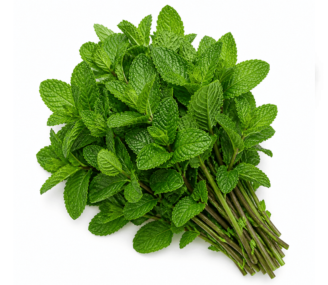 Mint