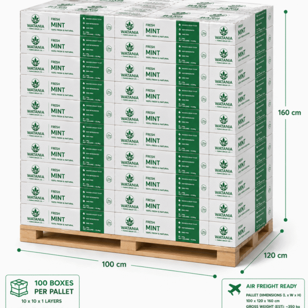 Mint – Pallet