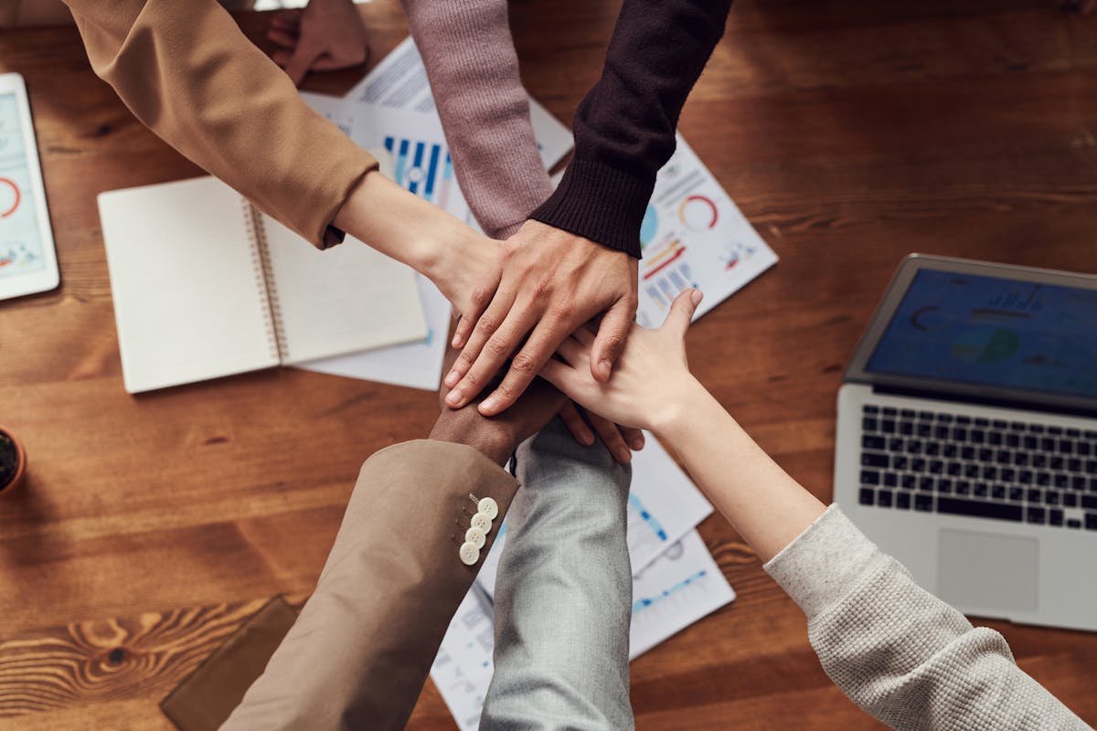 Vendor Partnership